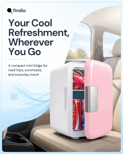 4L Mini Car Refrigerator Electric Cooler Warmer